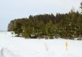 Сказочное зимнее Лукоморье 18.02.2016 - вид №2