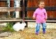 Контактный зоопарк "Заповедника" - июнь 2017 - вид №3
