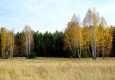 Заповедник 29.09.2015 - вид №9