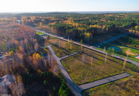 Золотая осень в коттеджном поселке "Заповедник" - октябрь 2024