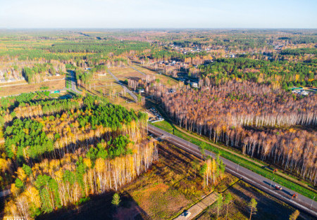 Золотая осень в коттеджном поселке "Заповедник" - октябрь 2024