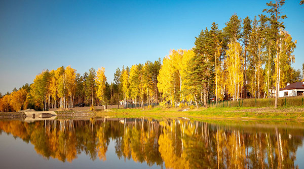 Золотая осень в "Заповеднике" - сентябрь 2020 - вид №1