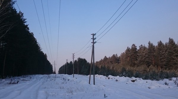 Заповедник 25.12.2014 - вид №1