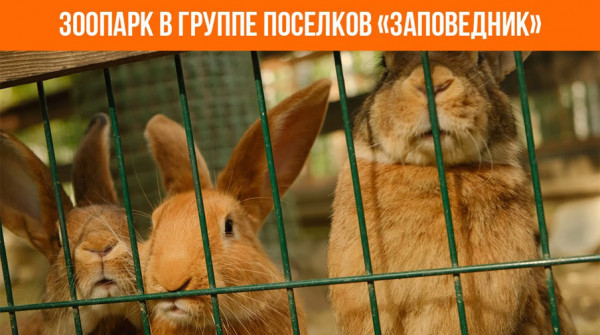 Зоопарк в группе поселков «Заповедник» - 2023 год - вид №1