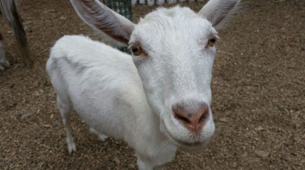 Заповедник 09.06.2016 - вид №1