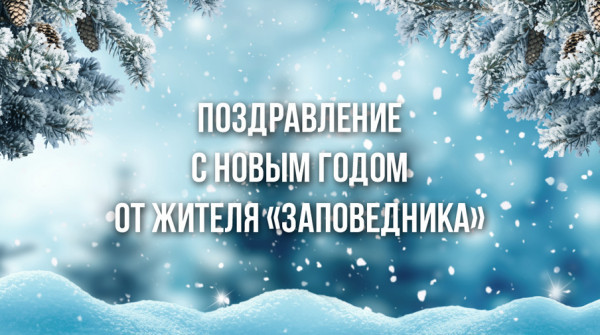 Поздравление с Новым годом! Екатерина из посёлка «Орёл» - вид №1