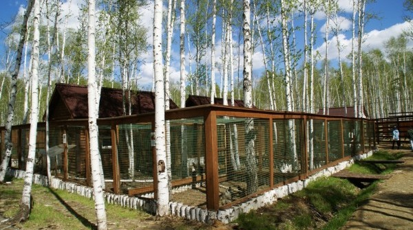 Контактный зоопарк "Заповедника" - май 2017 - вид №1