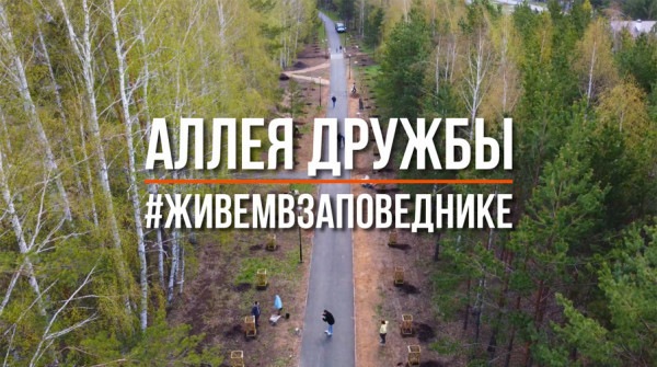 АЛЛЕЯ ДРУЖБЫ в коттеджном поселке «Заповедник» - вид №1