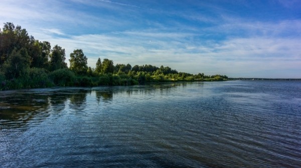 Дачный поселок Лукоморье – август 2016 - вид №1