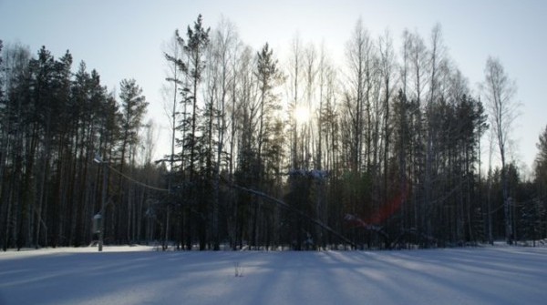 Заповедник в январе 17.01.2016 - вид №1