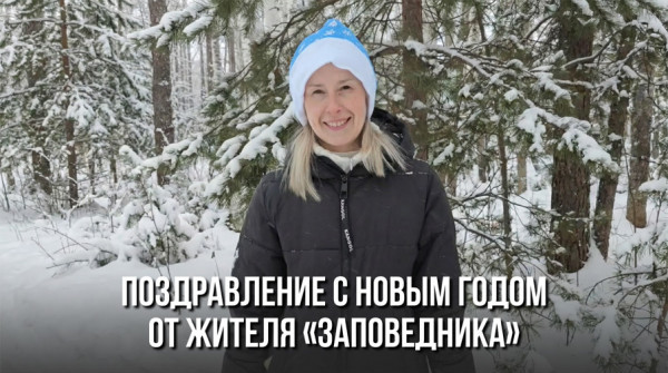 Поздравление с Новым годом! Юлия из посёлка «Снегири» - вид №1