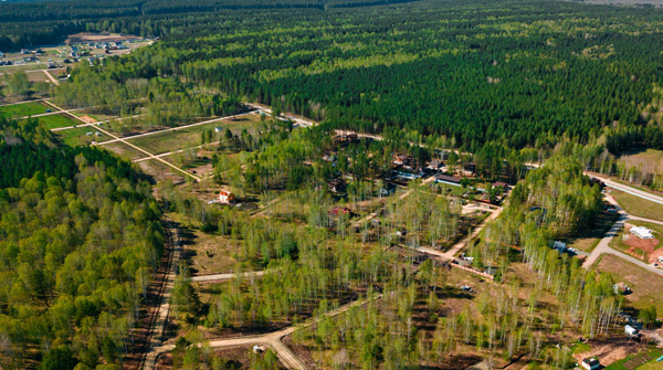 Поселок "Лисий лес" - май 2020 - вид №1