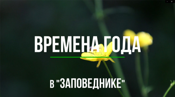 Времена года в группе поселков "Заповедник" - вид №1