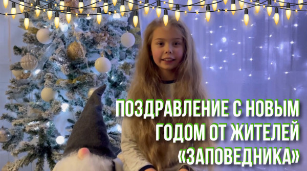 Соседи в "Заповеднике" - поздравление с Новым годом. Василина из поселка "Сокол" - вид №1