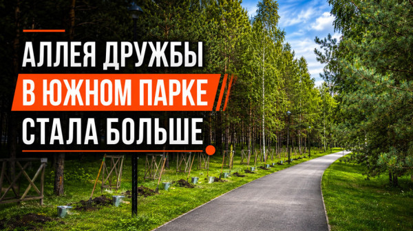 Аллея дружбы стала больше в коттеджном поселке «Заповедник» - вид №1