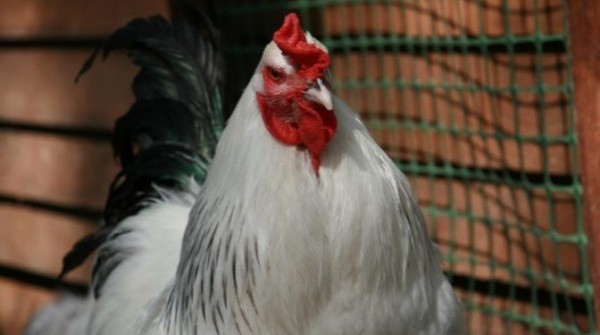 Заповедник 11.06. 2016 - вид №1