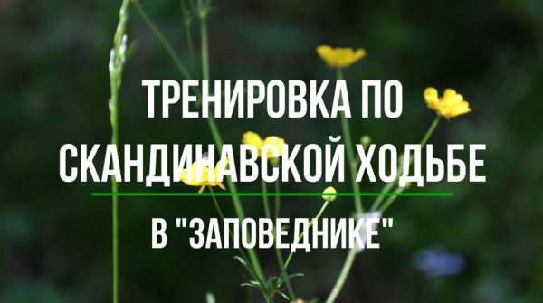 Скандинавская ходьба в группе поселков "Заповедник" - вид №1