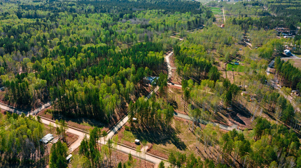 Поселок "Косуля" - май 2020 - вид №1