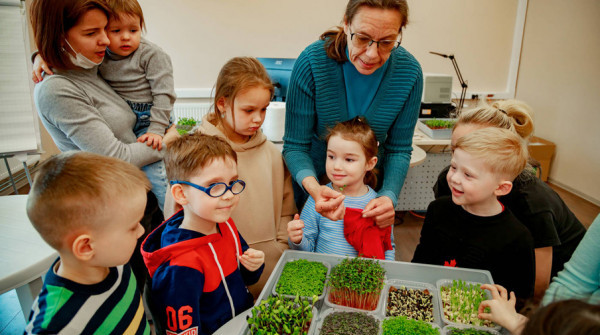 Мастер-класс «Микрозелень: сеем сами» - вид №1