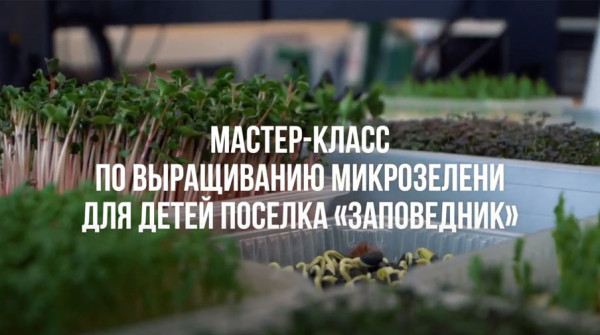 Мастер-класс «Микрозелень: сеем сами» - вид №1
