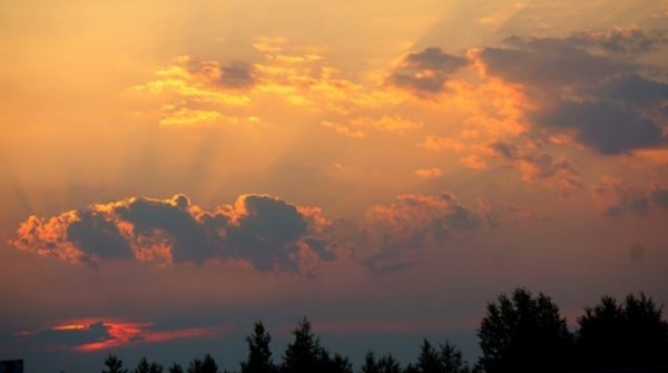 Город парков Заповедник – июнь 2016 - вид №1