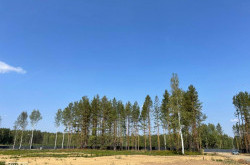 Участок № 4 в поселке Аист, площадь 10.14 соток