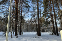 Участок № 76 в поселке Гранат, площадь 9.65 соток