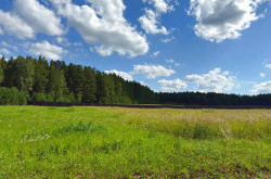 Участок № 41 в поселке Радость, площадь 15.00 соток