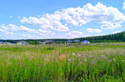 Участок № 95 в поселке Радость, площадь 10.07 соток