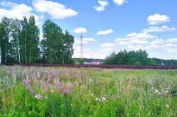 Участок № 249 в поселке Радость, площадь 8.23 соток