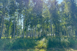 Участок № 2 в поселке Агат, площадь 15.00 соток