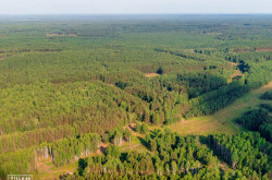Участок № 1 в поселке Орёл, площадь 11.68 соток