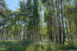 Участок № 4 в поселке Агат, площадь 15.00 соток