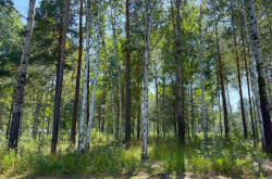 Участок № 6 в поселке Агат, площадь 15.00 соток