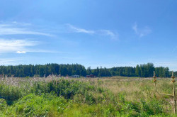 Участок № 63 в поселке Жемчужный, площадь 11.99 соток