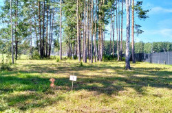 Участок № 1 в поселке Аист, площадь 9.95 соток