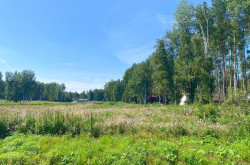 Участок № 70 в поселке Жемчужный, площадь 9.15 соток