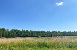 Участок № 101 в поселке Жемчужный, площадь 17.09 соток