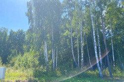 Участок № 105 в поселке Жемчужный, площадь 12.50 соток