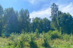 Участок № 107 в поселке Жемчужный, площадь 12.50 соток