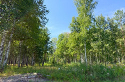 Участок № 15 в поселке Агат, площадь 19.05 соток