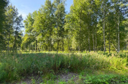 Участок № 20 в поселке Агат, площадь 18.56 соток