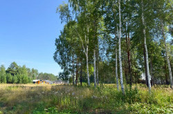 Участок № 37 в поселке Агат, площадь 14.00 соток