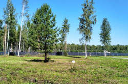 Участок № 15 в поселке Аист, площадь 12.01 соток
