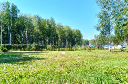 Участок № 20 в поселке Аист, площадь 9.85 соток