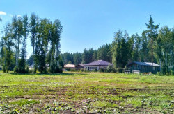 Участок № 32 в поселке Аист, площадь 12.22 соток