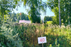 Участок № 40 в поселке Аист, площадь 8.49 соток