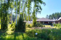 Участок № 43 в поселке Аист, площадь 17.11 соток