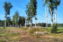 Участок № 45 в поселке Аист, площадь 9.85 соток