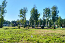 Участок № 52 в поселке Аист, площадь 9.25 соток